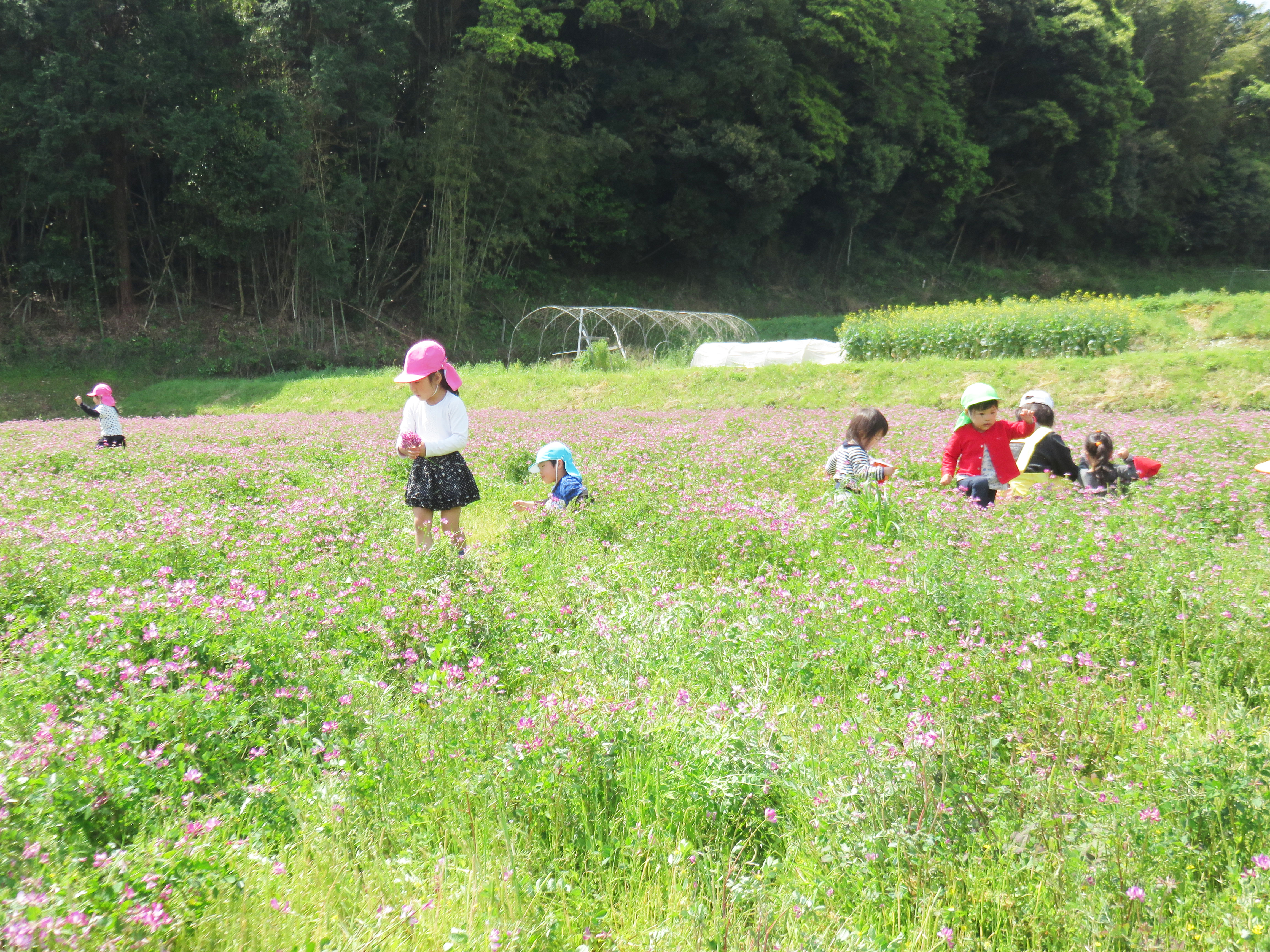 長崎 諫早　くるみ保育園