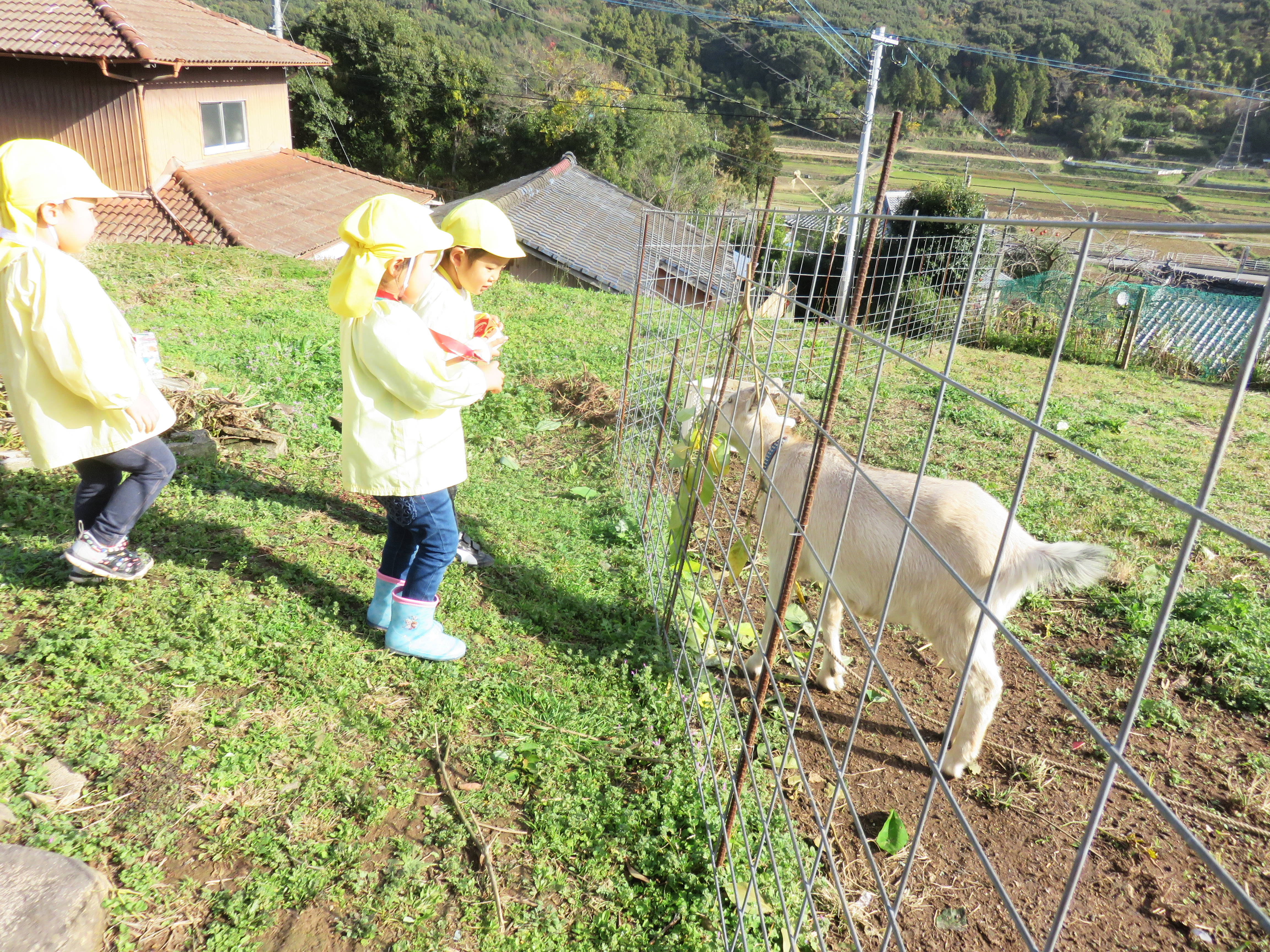 長崎 諫早　くるみ保育園