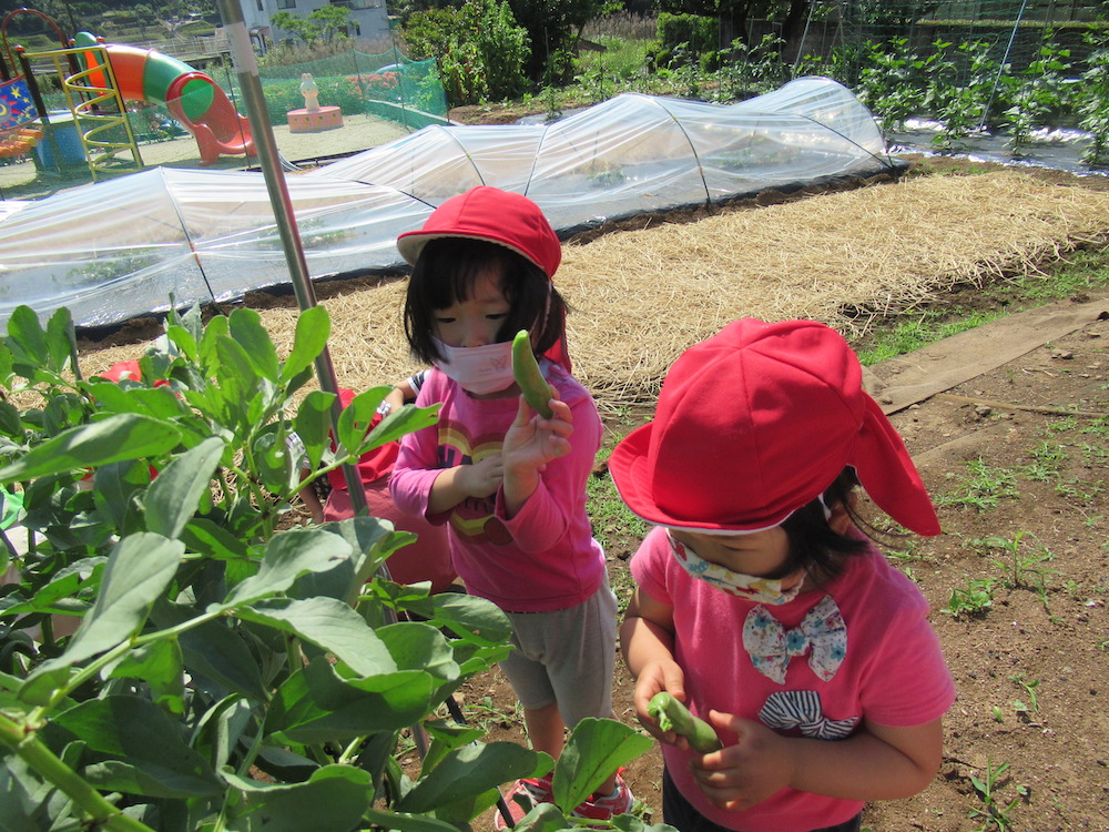くるみ保育園　長崎県諫早市