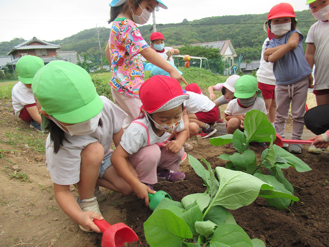くるみ保育園　長崎県諫早市
